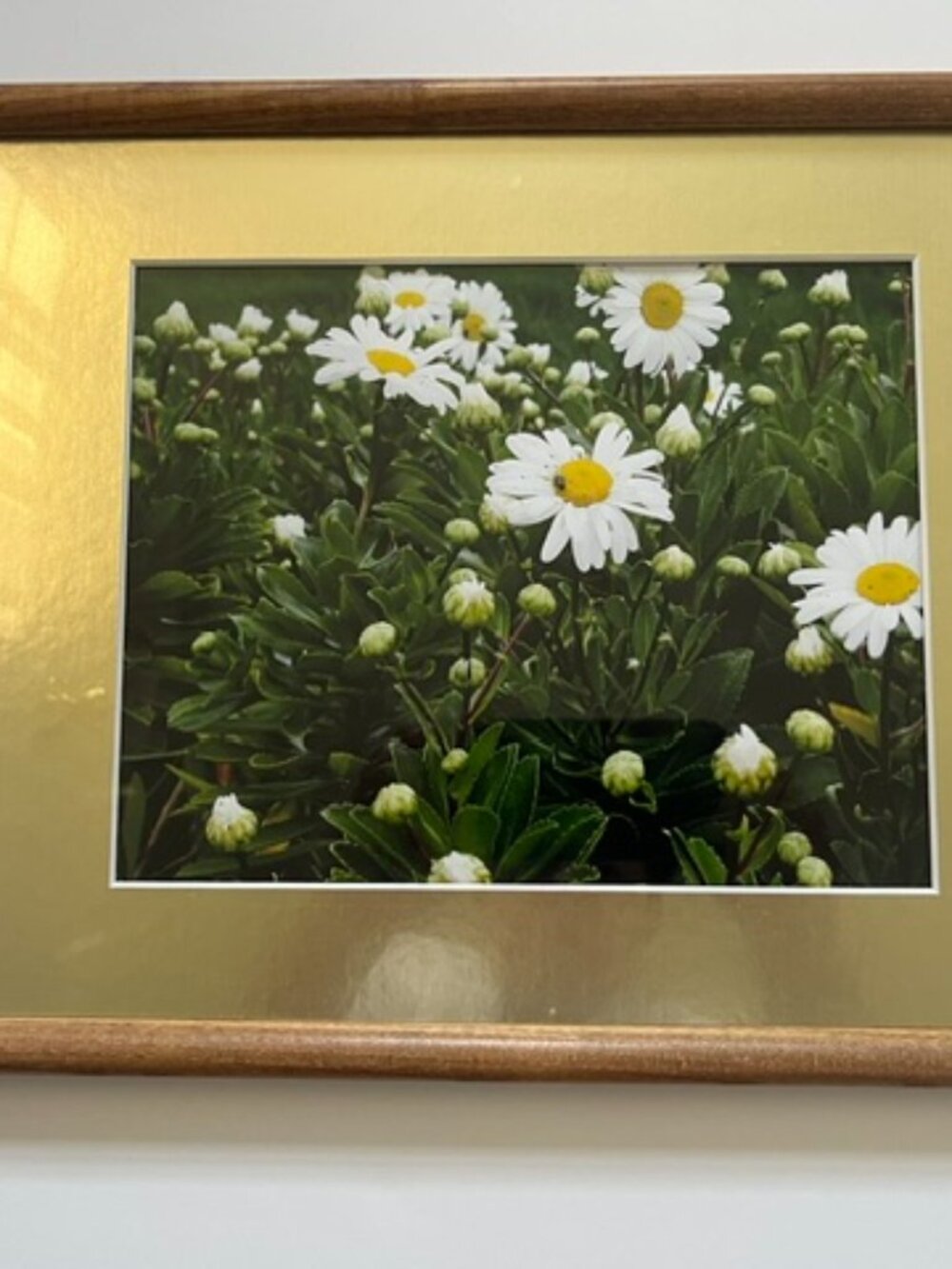 12" x 15" picture